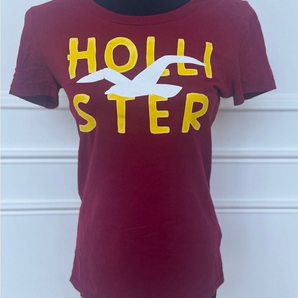 Hollister Women's Burgundy Tee with Yellow Graphic